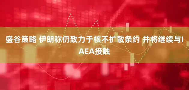 盛谷策略 伊朗称仍致力于核不扩散条约 并将继续与IAEA接触
