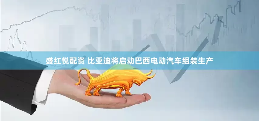盛红悦配资 比亚迪将启动巴西电动汽车组装生产