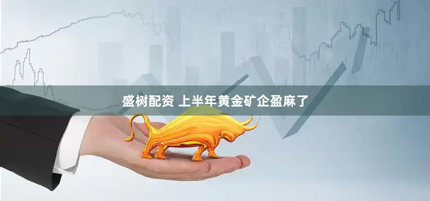 盛树配资 上半年黄金矿企盈麻了