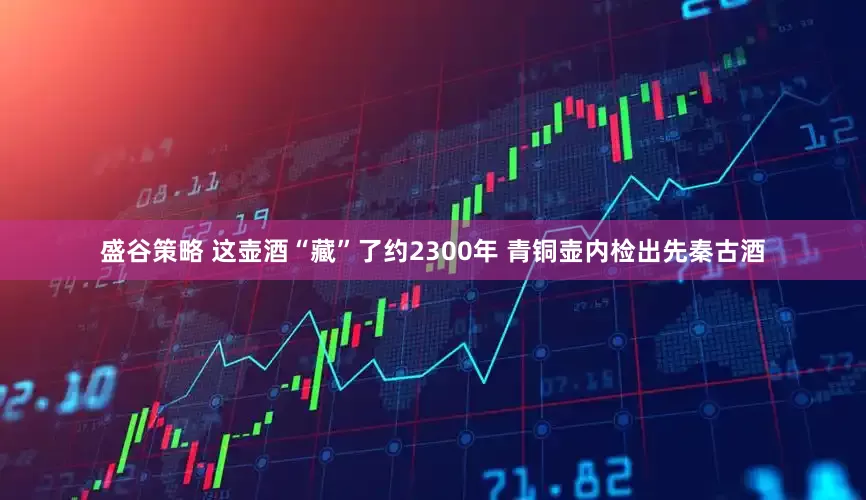 盛谷策略 这壶酒“藏”了约2300年 青铜壶内检出先秦古酒